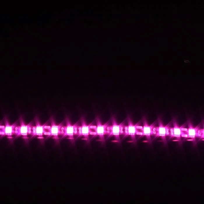 2026_06_20_1588888